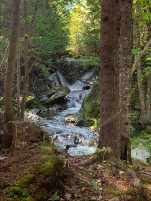 La Spacieuse Riverstone Citq3O1849 Saint Pierre de Broughton Екстер'єр фото