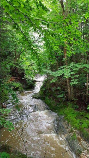 La Spacieuse Riverstone Citq3O1849 Saint Pierre de Broughton Екстер'єр фото
